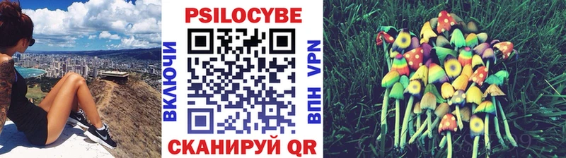 Псилоцибиновые грибы Psilocybe  Челябинск 