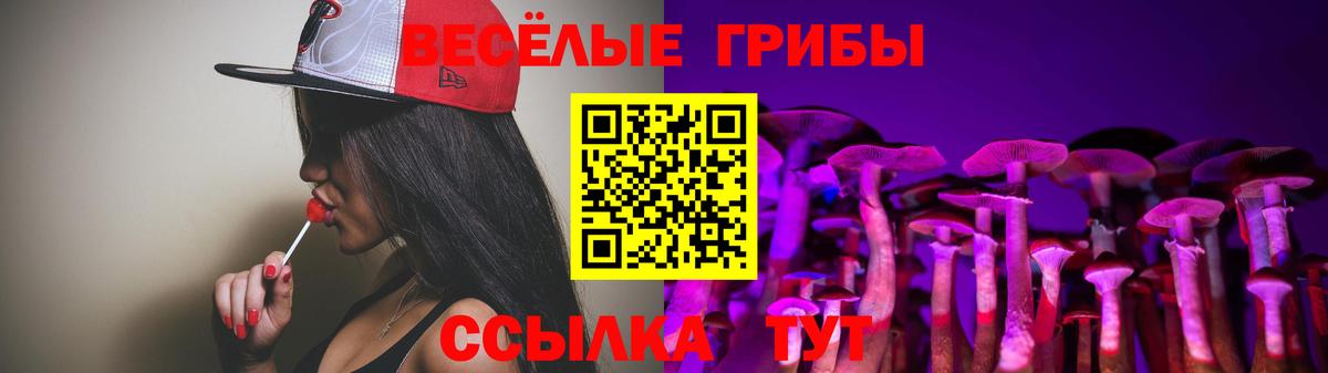 Псилоцибиновые грибы Cubensis  Челябинск 